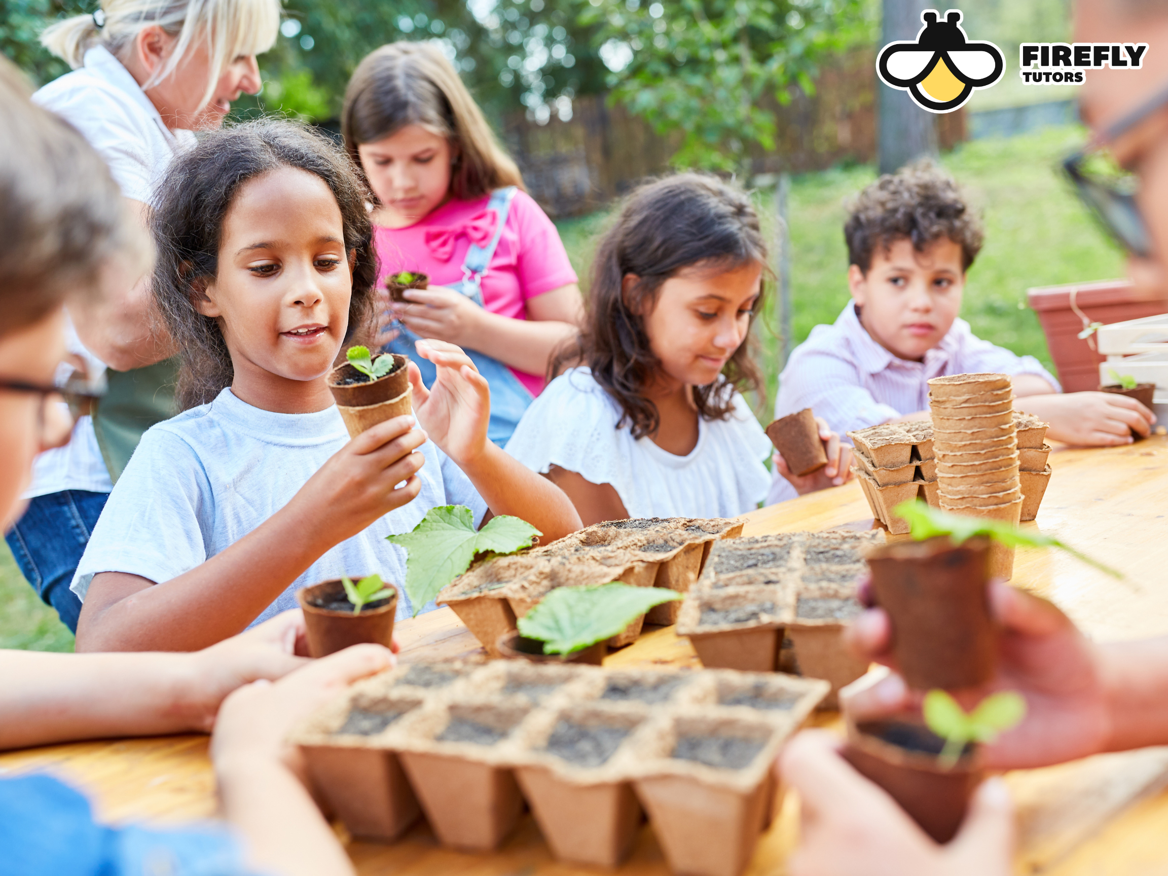 educational summer activities